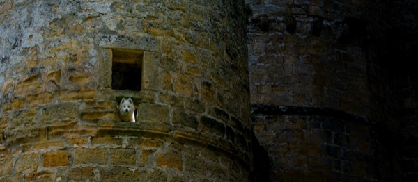 Beaufort