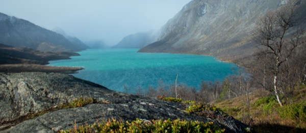Bessegen