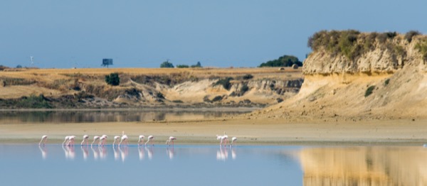Larnaca