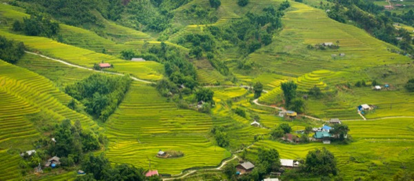 Sa Pa