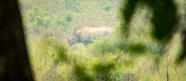Sauraha